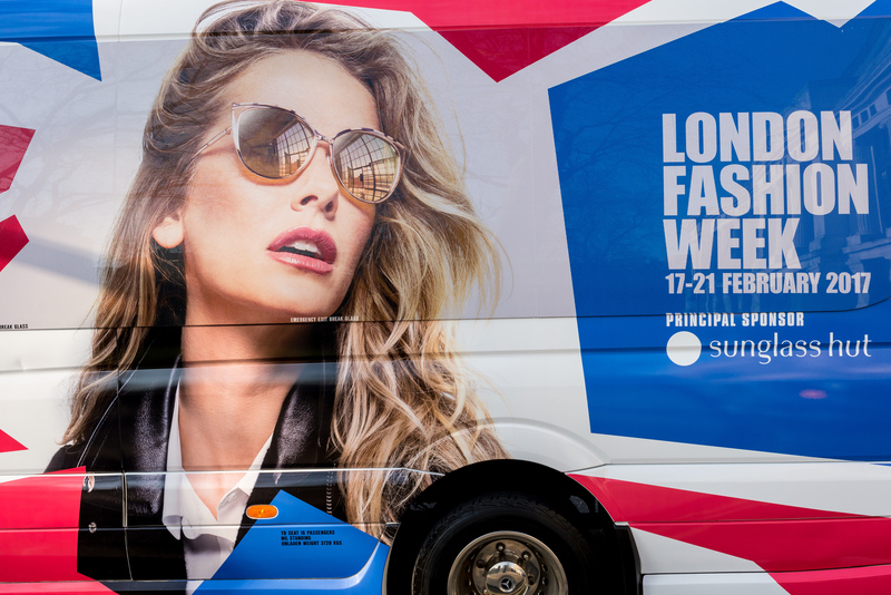 Proven Ways to Keep Poinsettias Vibrant Throughout the Season